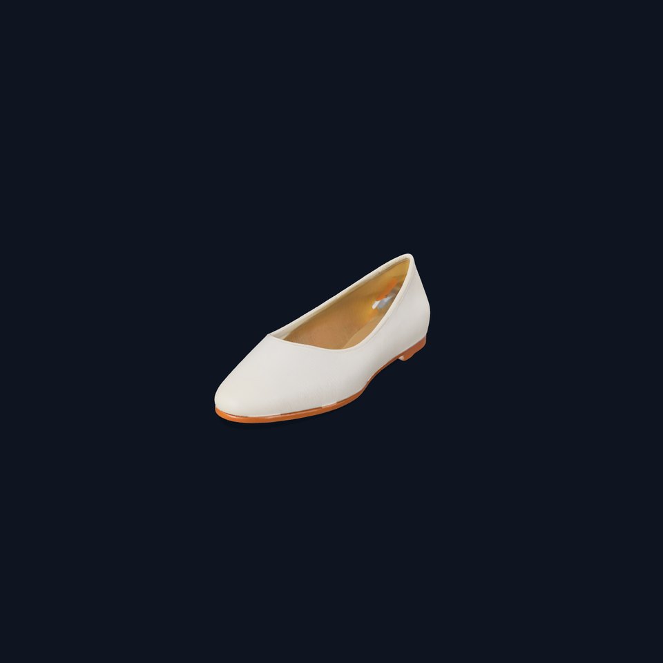 Elegant Casual Shoe Model Pack